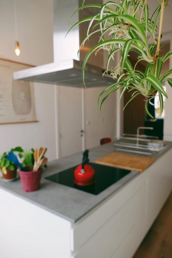 130Sqm Appartment With 20Sqm Terras And Free Parking Антверпен Экстерьер фото